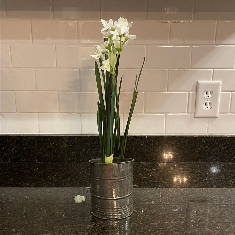 White Artificial Paperwhites in Antique Flower Sifter - Primitive Home Accents